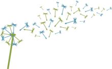 Drawing of a ripe dandelion plant with seeds flying away